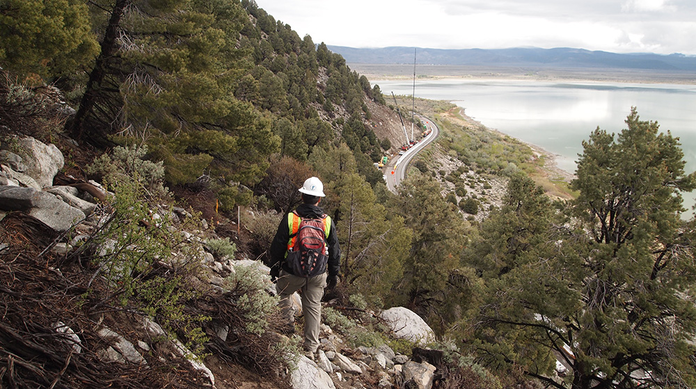 The Caltrans staff working on the Lee Vining Rockfall Project have a stunning daily view of the Mono Basin, and they share their work site with some strange "species...." Photo courtesy of Joe Blommer, Caltrans.