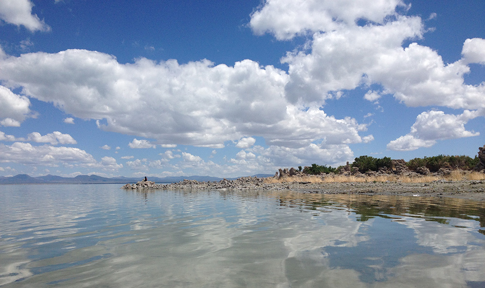 Naturalists flock to the Mono Basin for its incredible beauty and diversity of life from Osprey to brine shrimp. Photo by Andrew Youssef.