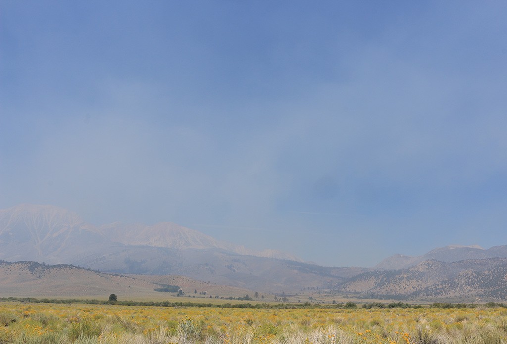 View of Waler Fire looking north on August 17 at appr. 11am.