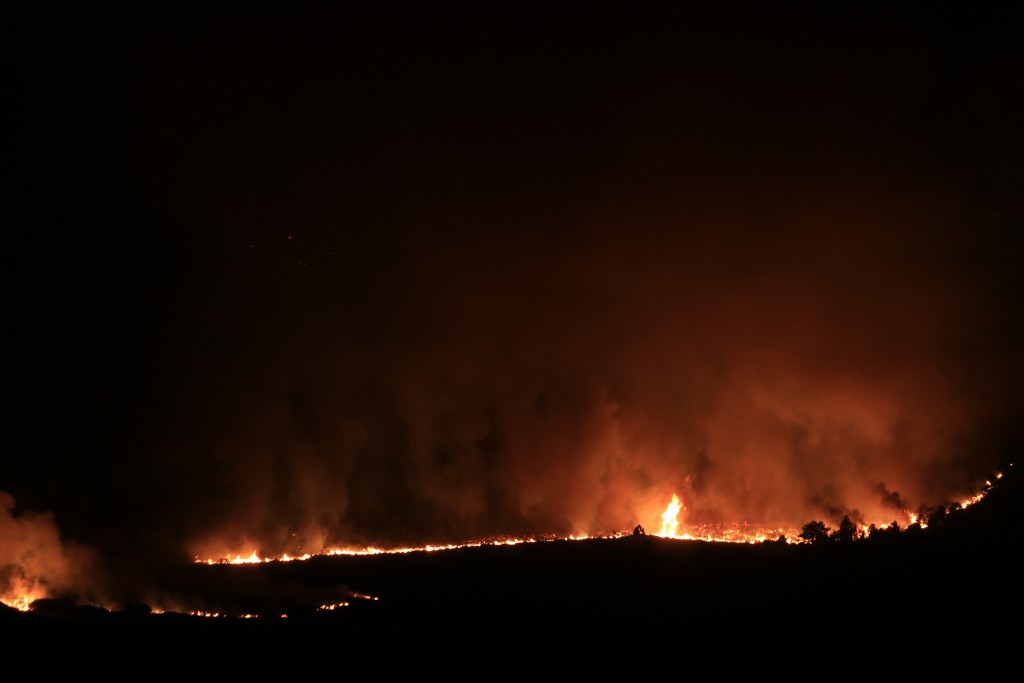 Walker fire burns in Bohler Canyon.