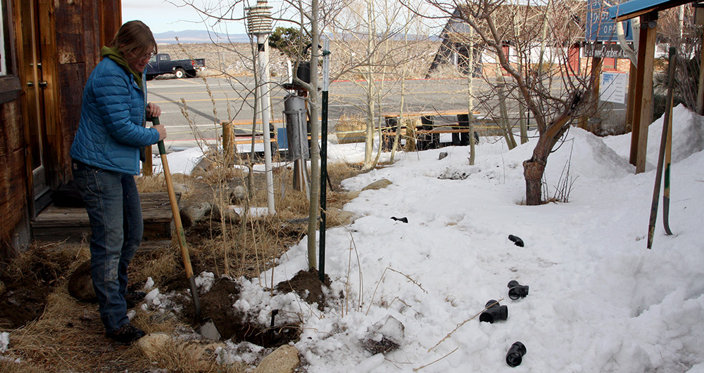 The Mono Lake Committee installed a greywater system in our restroom in 2012. Now, sink water drains directly to the roots of the aspen trees behind our building. Photo by Arya Degenhardt.