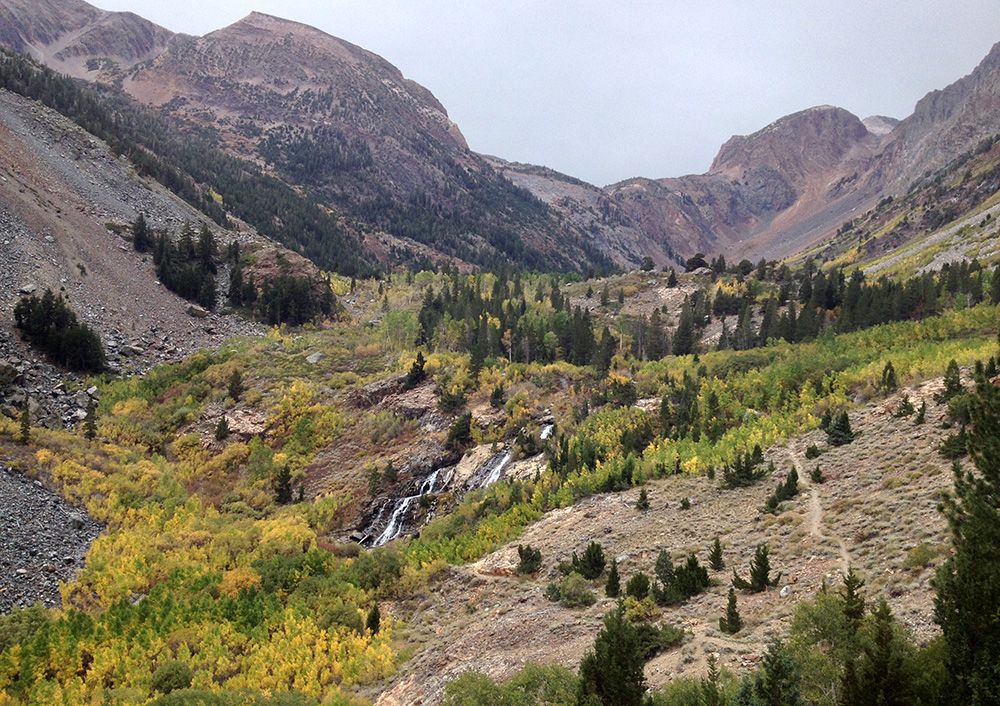 This picturesque waterfall nestled among the glowing aspens can be found less than a mile from the Lundy Canyon trailhead. Photo by Andrew Youssef.