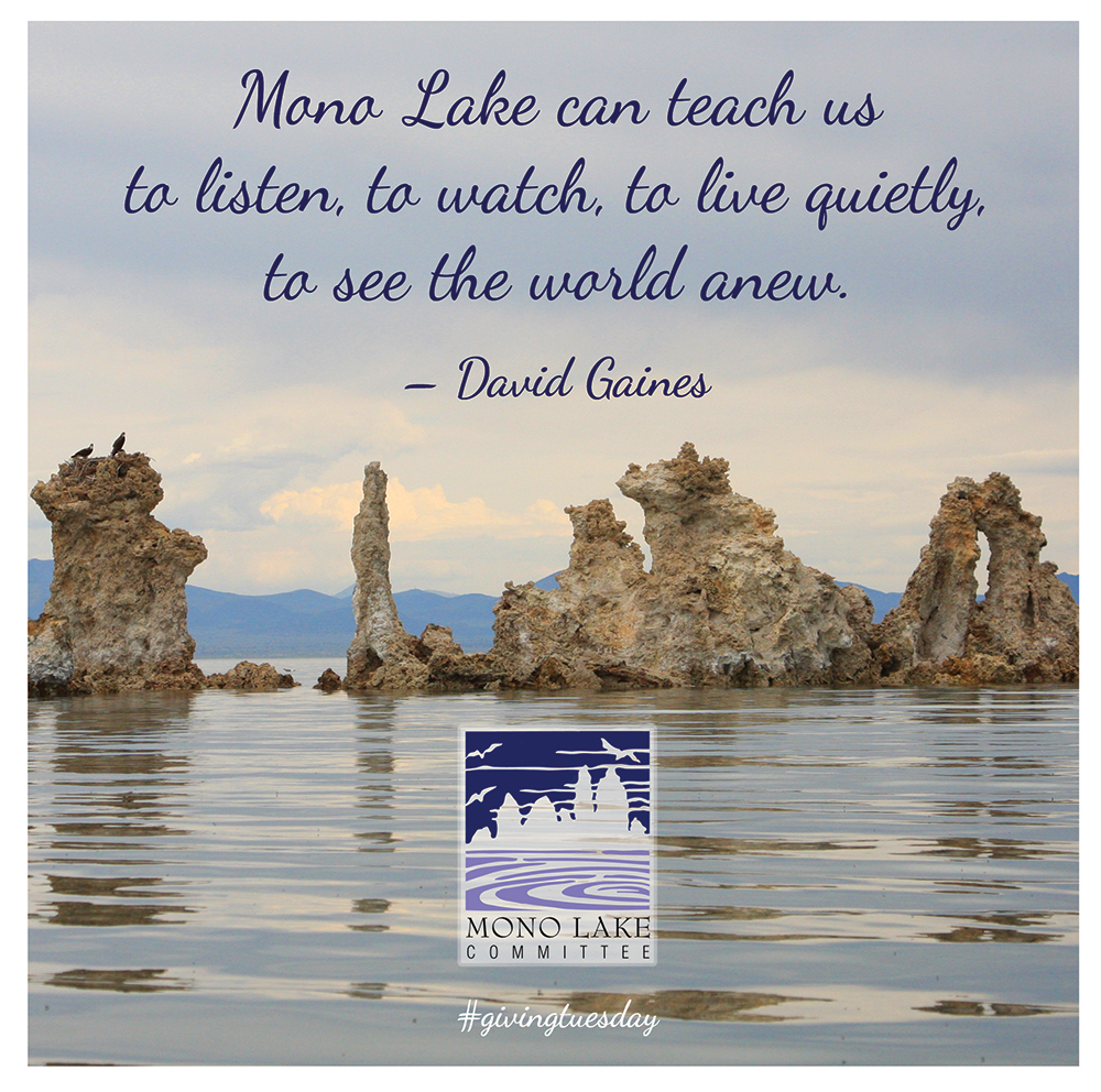 Mono Lake can teach us to listen, to watch, to live quietly, to see the world anew. -- David Gaines