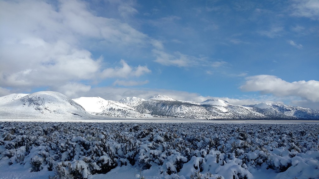 Mono Craters under 10 inches of new lake-effect snow, November 27, 2015. Photo by Bartshe Miller.