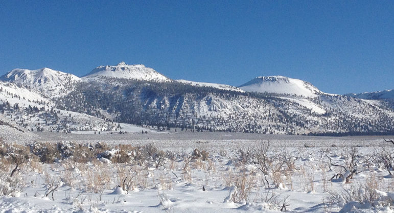 The Mono-Inyo craters covered in bright white snow seen rising above the desert scrub also covered in snow.