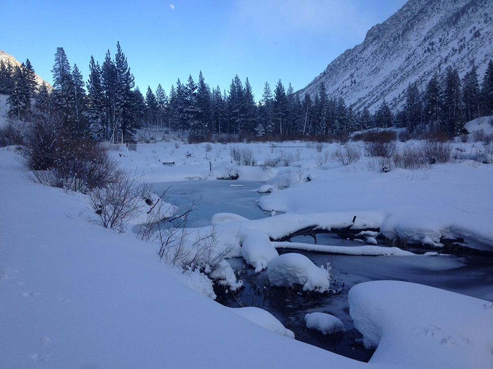 A gorgeous Mill Creek beginning to freeze over. Photo by Andrew Youssef.