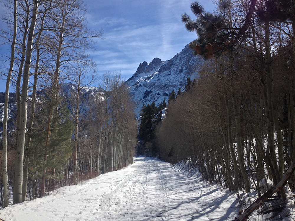 Bare aspen trees and towering peaks surround this snow-packed road. Photo by Andrew Youssef.