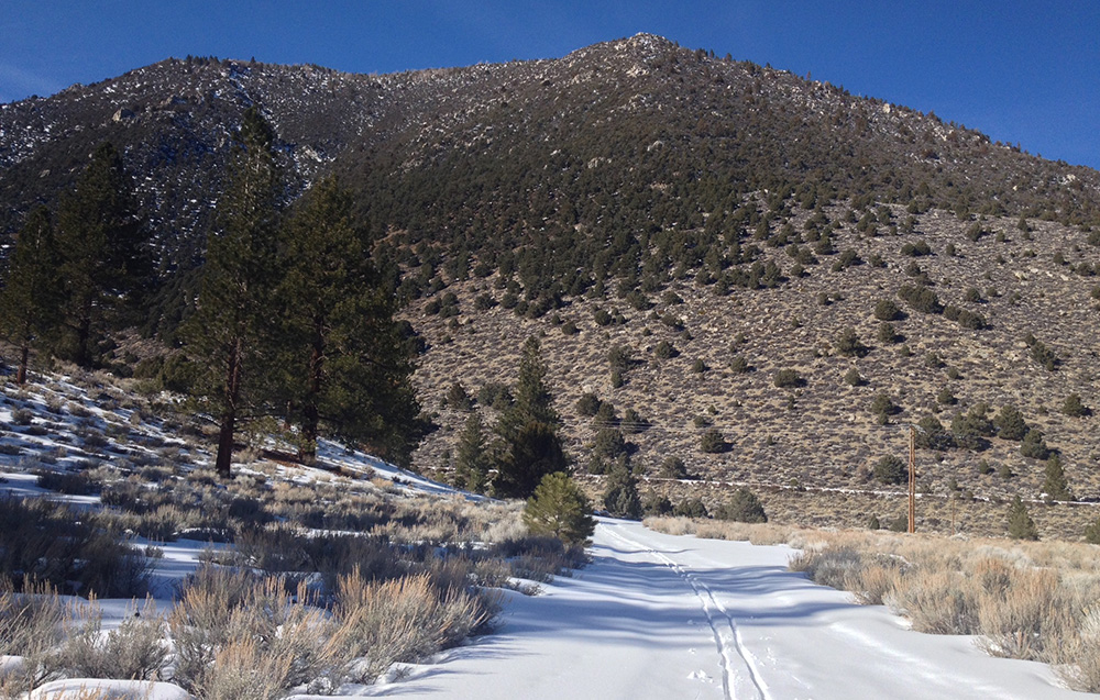 Skiing in the Mono Basin, you are struck by the contrast of snow and desert. Photo by Andrew Youssef.