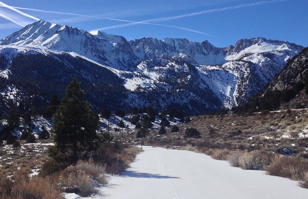 The Sierra Crest rising dramatically above the Mono Basin. Photo by Andrew Youssef.