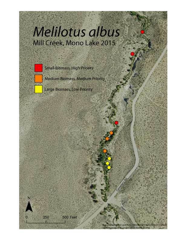 Spatial distribution of 2015 field activities. 9 sites are established as having a measurable biomass of sweet clover. Sites with less sweet clover biomass in 2015 should be a higher priority in 2016. Data collection and mapping by Robbie Di Paolo.