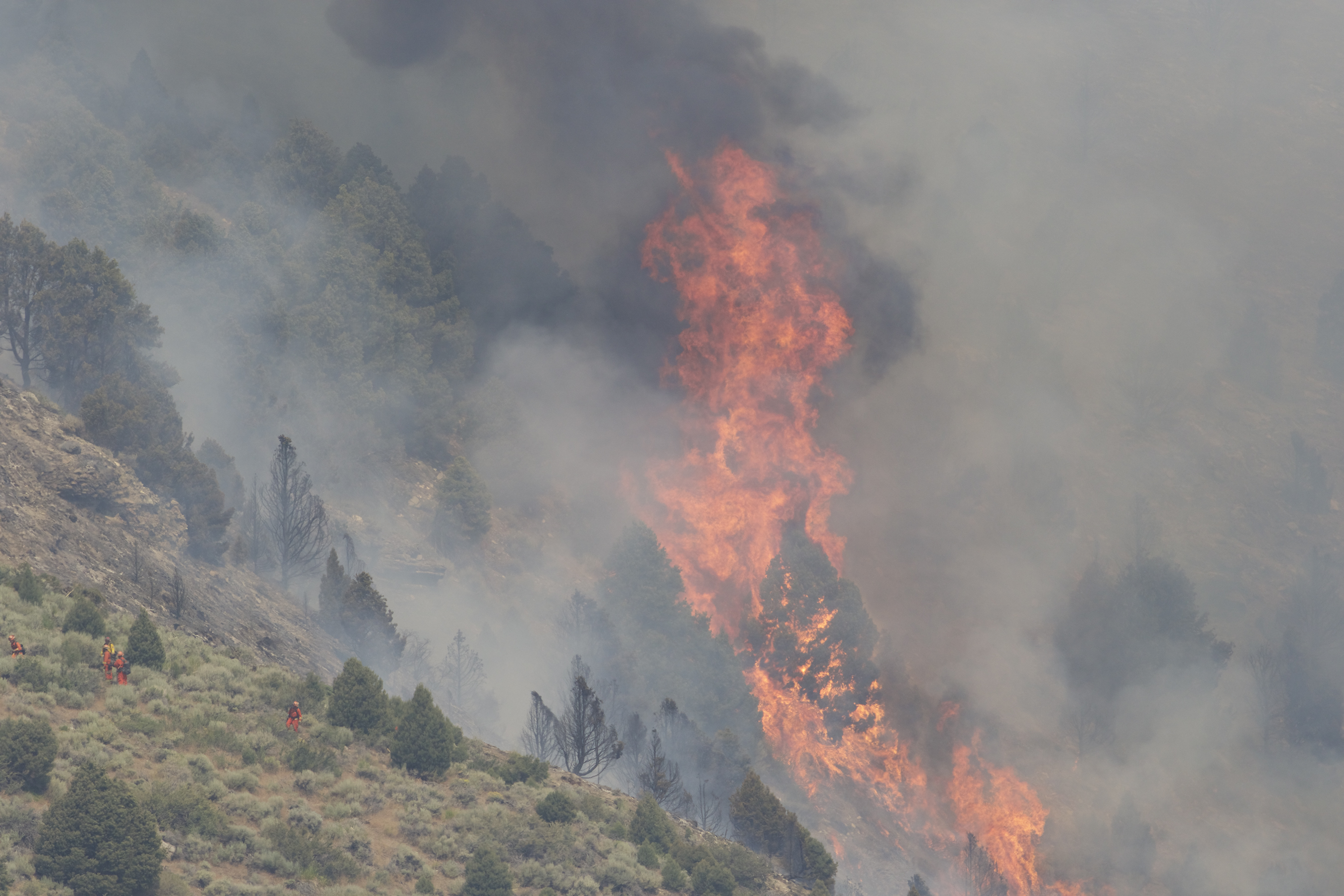 Firefighters on the ground along the southern edge of the Marina Fire. Photo by Santiago Escruceria.