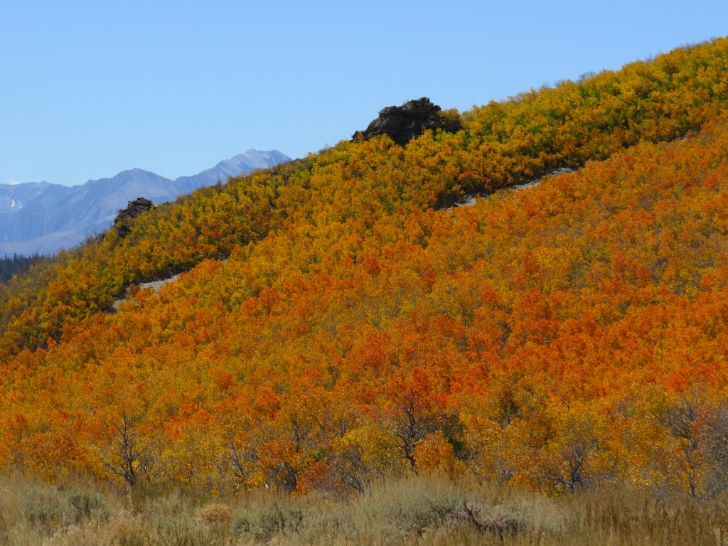 A glowing peaking hillside.