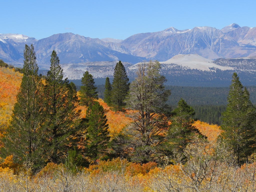 The Sierra Nevada in the background with a dusting of snow!