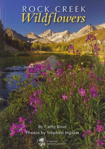 cat-rock-creek-wildflowers-web