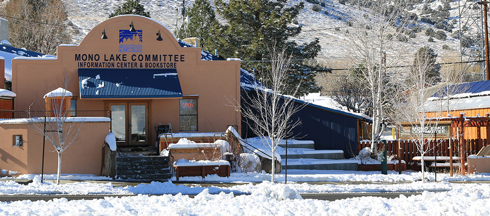 The Mono Lake Committee Information Center & Bookstore will be closed on December 25 and January 1. Photo by Bartshe Miller.