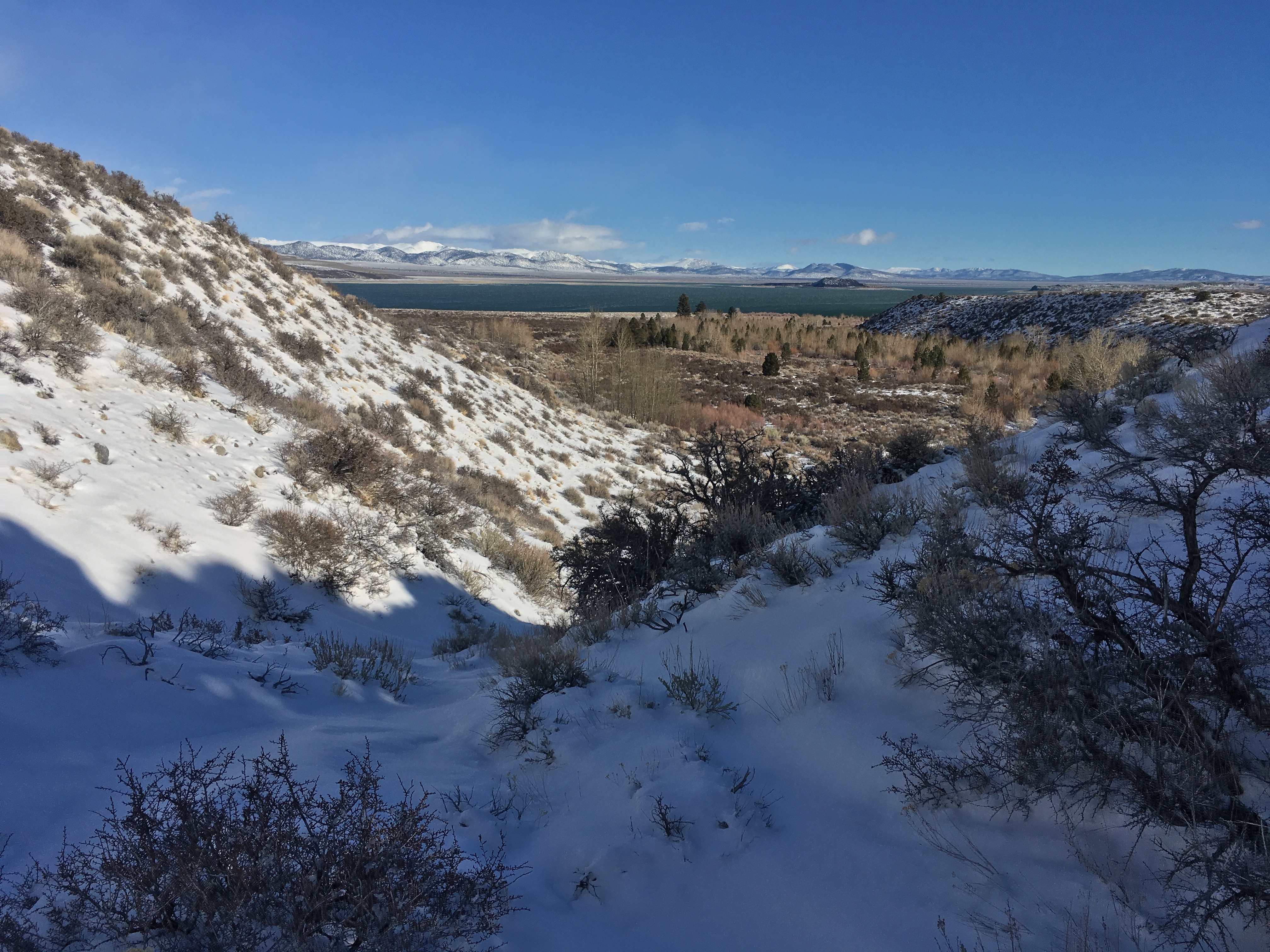 Descending into Lee Vining Canyon with views of Mono Lake and Negit Island. Photo by Andrew Youssef.