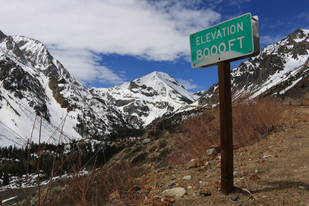 Tioga Pass Road at 8,000' on April 4, 2017.