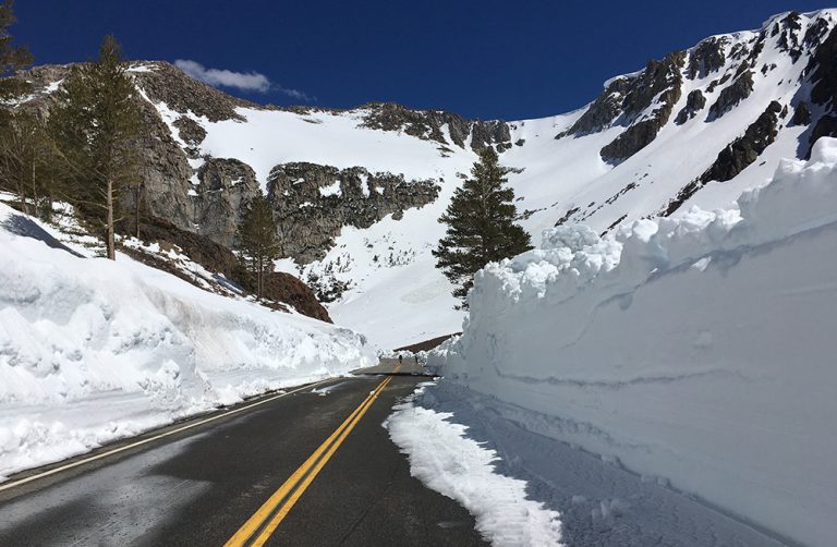 tioga road opening tioga road opening