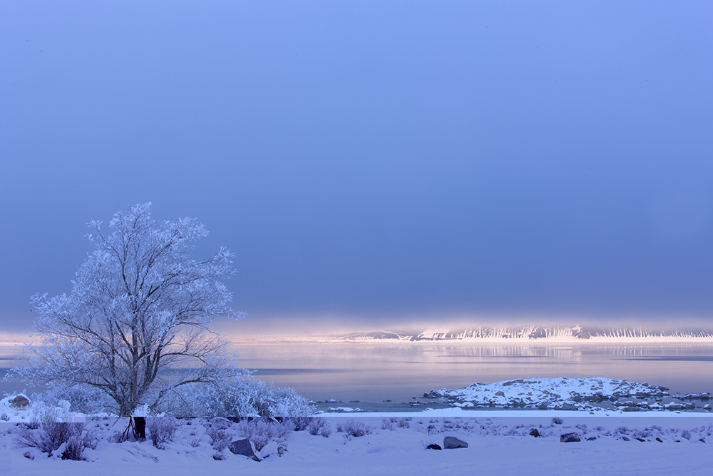 Winter field seminars at Mono Lake