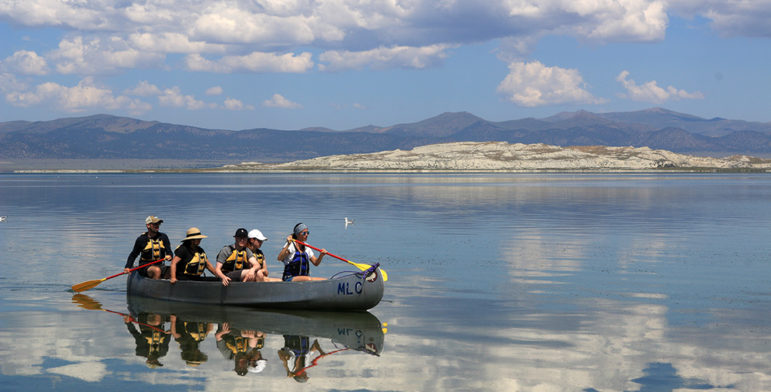 Five people ride in a metal canoe on a glassy Mono Lake with blue skies and beautiful puffy clouds and bright vibrant colors with a California Gull floating on the water in the background and a large white island, Paoha, in the distance.