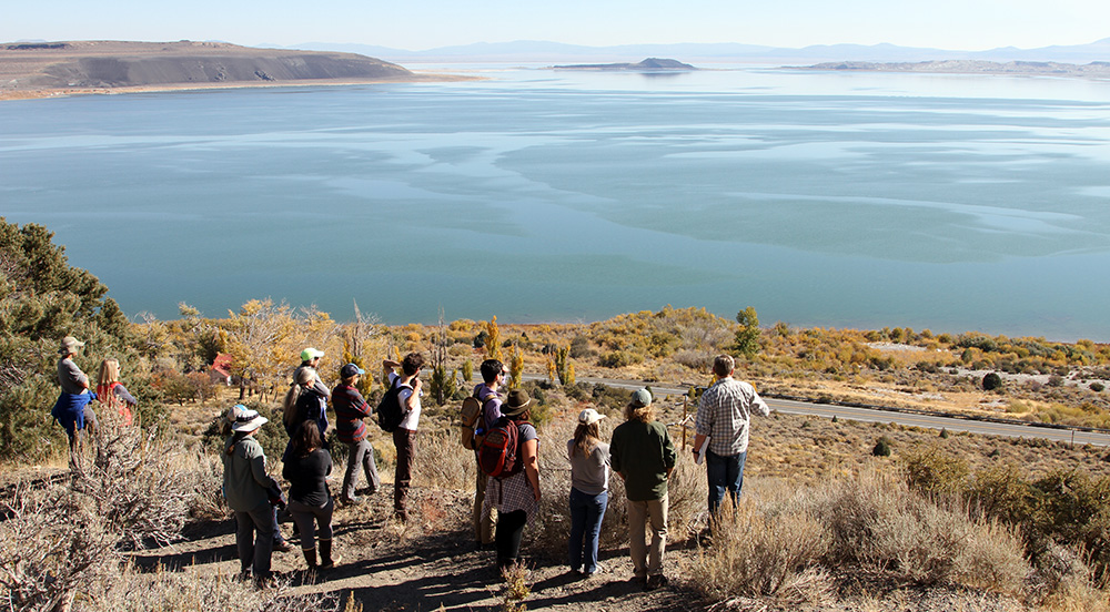 The Mono Lake Committee staff looks out at our favorite lake. Photo by Arya Harp.