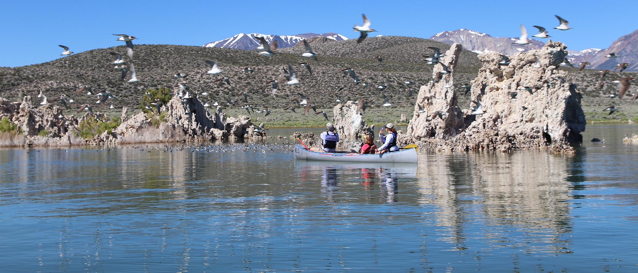 A canoe with three people in it moves past tufa formations out in the water as birds fly close, mountains are under a blue sky in the distance.