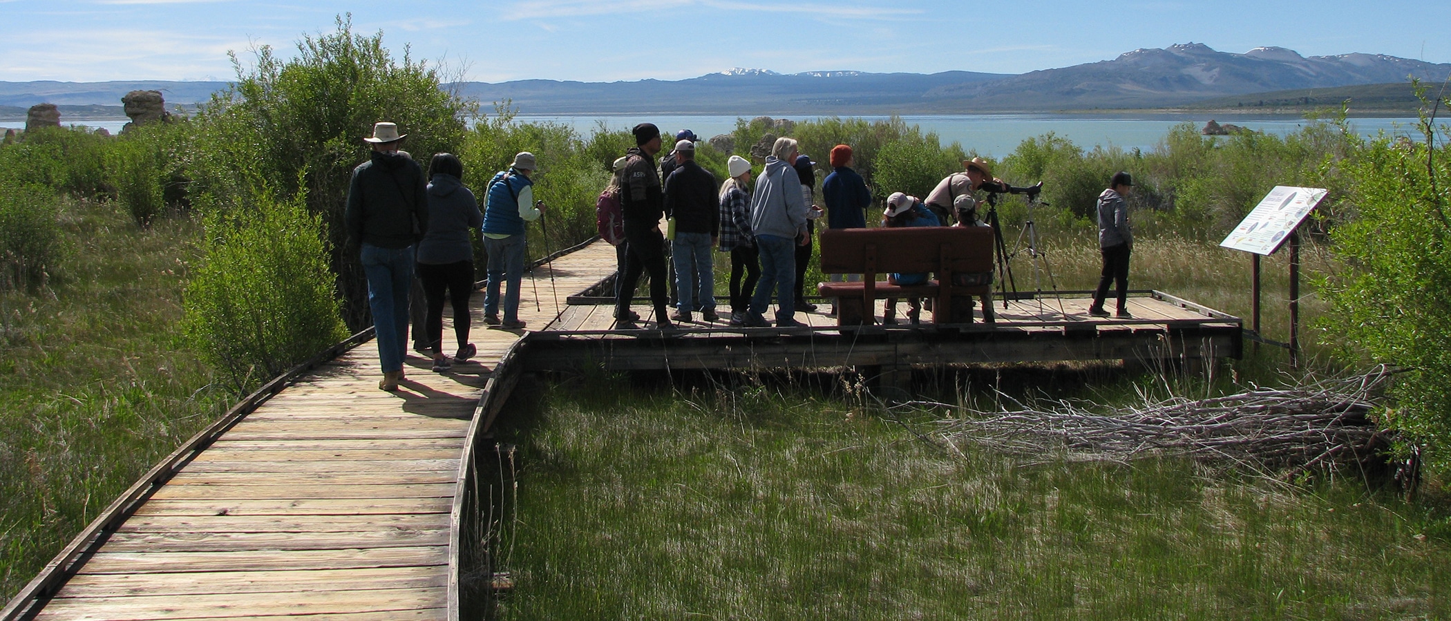 A crowd of around a dozen stands on a wooden boardwalk surrounded by marsh vegetation and willows, a lake and mountains can be seen in the distance under blue skies.