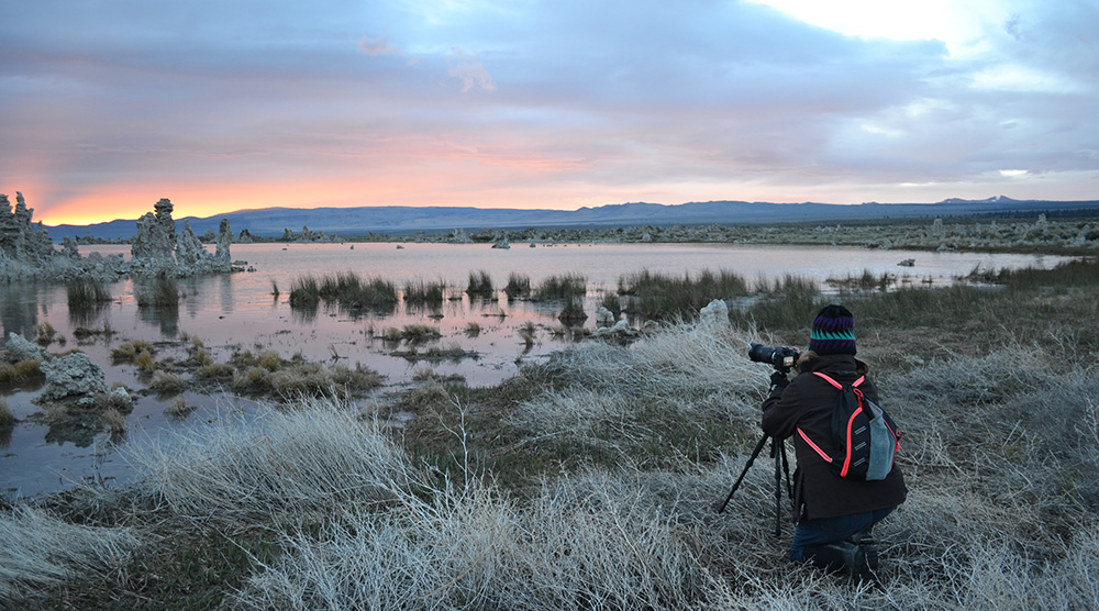 A photographer crouches on the shoreline in marsh vegetation facing toward tufa in Mono Lake and sunset colors in an overcast sky.