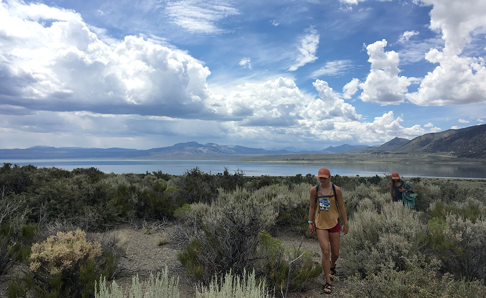 Two people walking through sagebrush towards the camera with Mono Lake and bright white clouds in the sky.