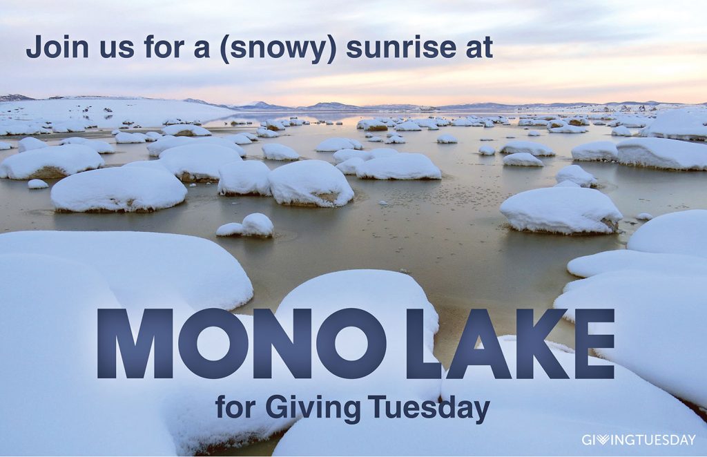 Join us for a snowy sunrise at Mono Lake for Giving Tuesday