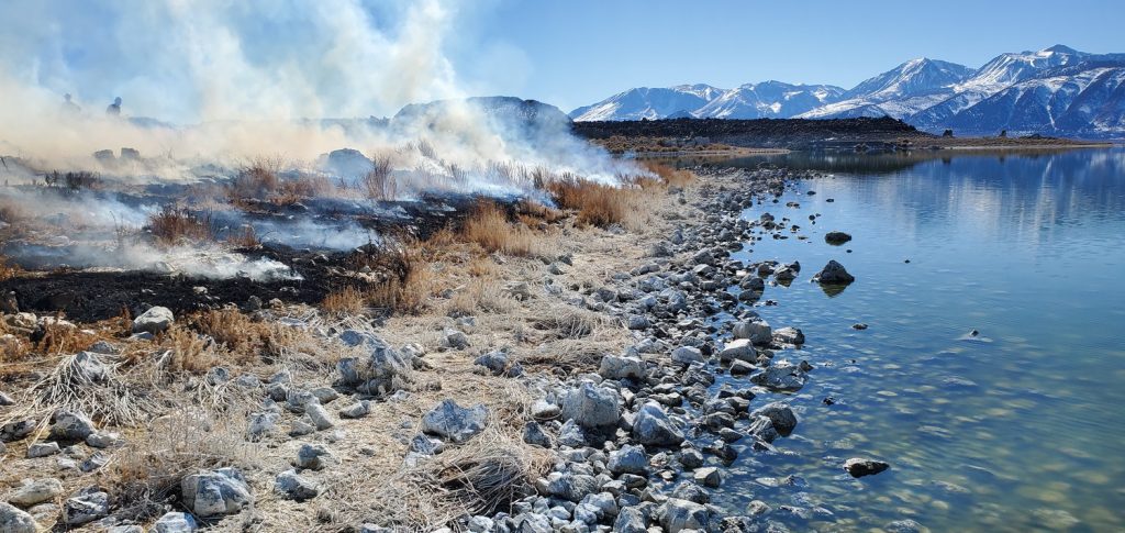 Smoke rising from burning invasive weeds along the shore of mono lake.