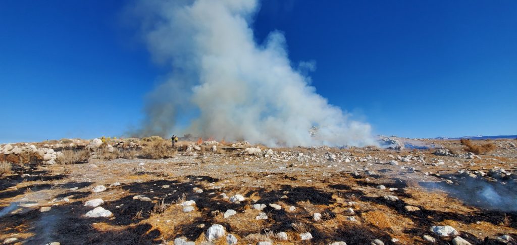 Smoke rises from burning invasive weeds on a patchy black and rock strewn ground with clear blue sky in the background.