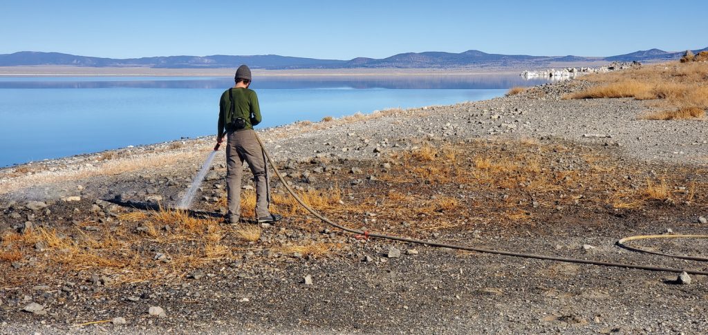 A person in a green shirt stands spraying water from a hose along the shore of Mono Lake, the northern shore is in the distance below a clear blue sky.