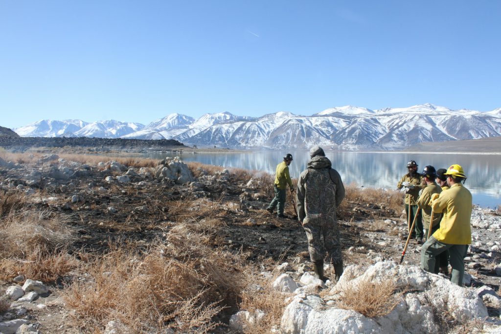 Firefighters wearing yellow shirts stand near the shore of a small island with burned patches where invasive weeds have been burned, snow capped mountains and blue skies are behind them.