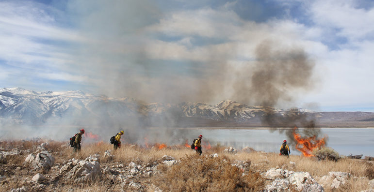Four firefighters walk among burning piles of brush with a lake in the background, behind the lake mountains covered in snow rise at the horizon under patchy clouds.