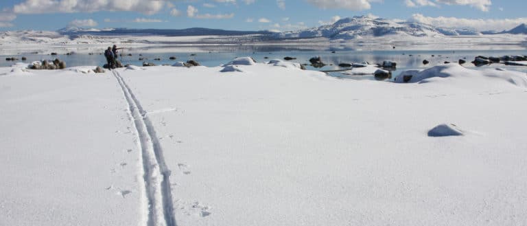 A single set of ski tracks cross fresh snow in the direction of tufa formations and a glassy lake surface reflecting snowy mountains and puffy white clouds.