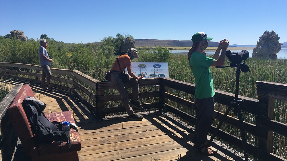 Three people stand on a board walk looking through binoculars towards the grasses and tufa and writing in a notebook.