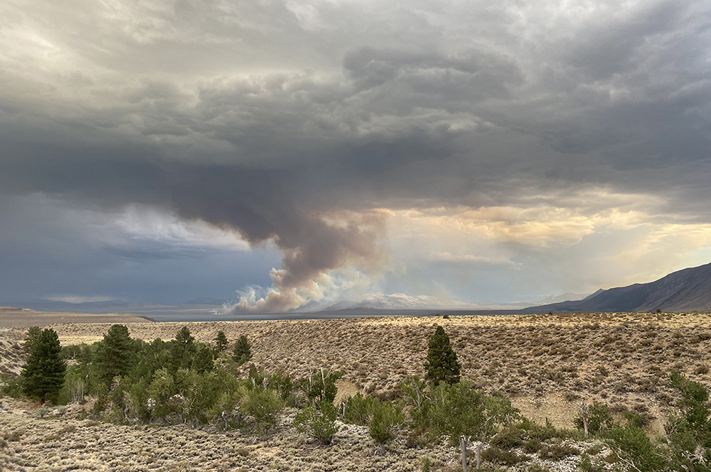 Green trees and sagebrush make up the foreground with golden light, as a light gray plume of smoke in the distance merges with gray clouds.