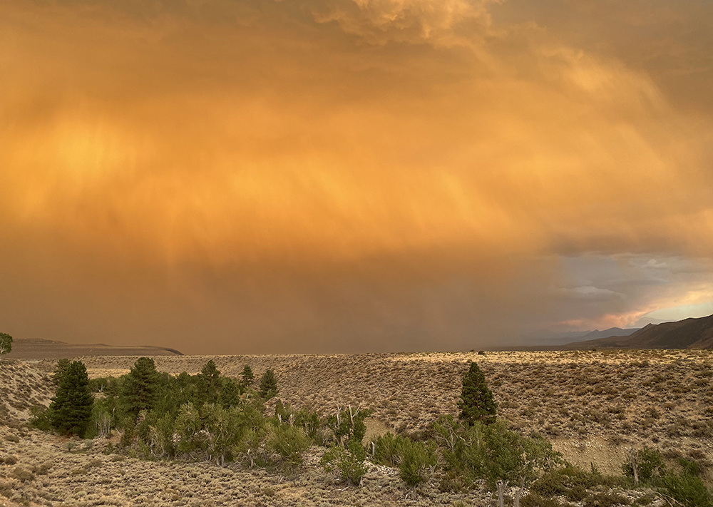 The sky glows burnt orange as gray lines of rain obscure the view of the mountains. Sagebrush and green trees stand in the foreground under afternoon light.