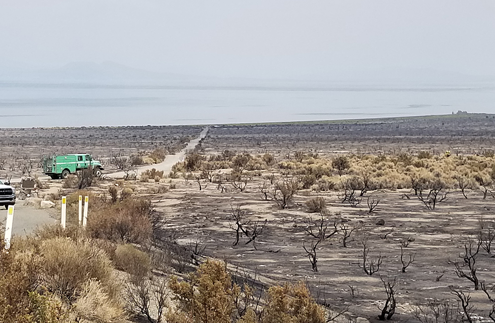 Burnt black sage brush branches and blackened sand stretch out into the horizon. A green truck can be seen driving down a dusty dirt road into hazy skies.