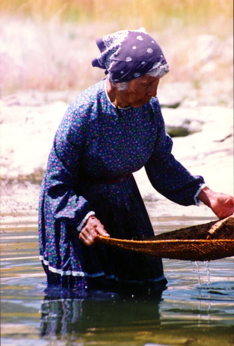 A Kutzadikaa Paiute woman wearing a long dress and bandana in her hair holds a large, shallow basket as she stands knee-deep in Mono Lake scooping up alkali fly pupae.