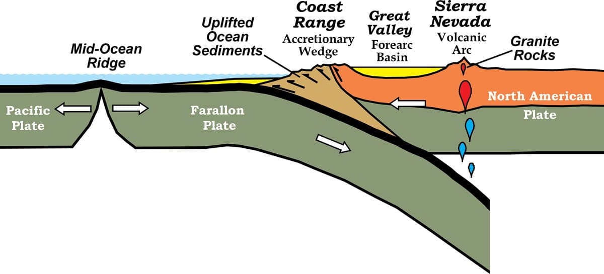 A schematic cross-section illustration of the North American Plate boundary with the Farralon Plate subducting beneath, with the Mid-Ocean Ridge, uplifted ocean sediments, the Coast Range, Great Valley, and Sierra Nevada depicted.