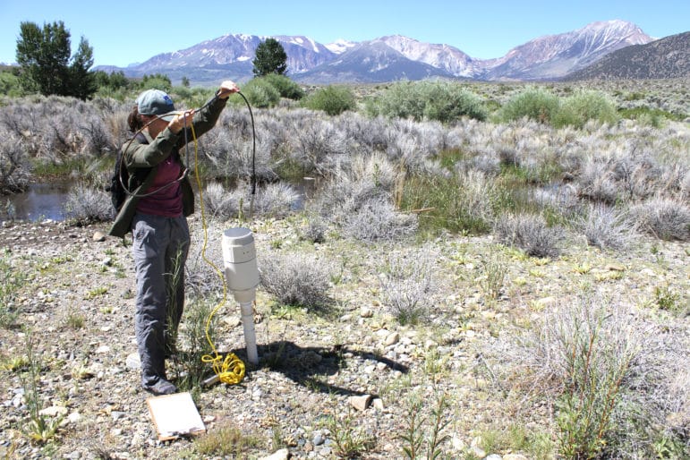 Person doing stream monitoring by inserting a long cord into a white plastic pipe that comes up out of the ground in a rocky patch of ground near a stream with green willows and pine trees in the background and tall snow-capped mountains in the distance.