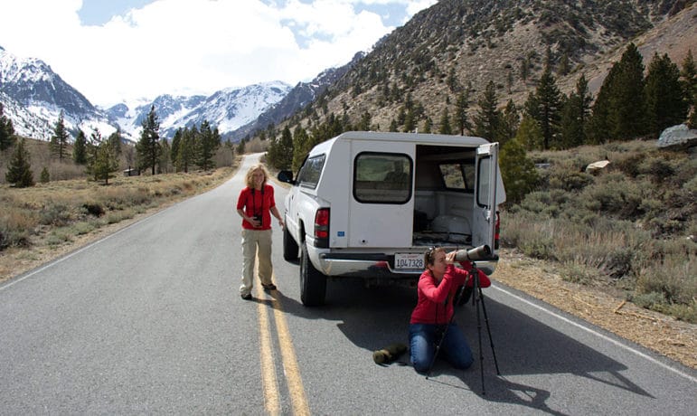 Two researchers, one with binoculars, and one kneeling in front of a spotting scope, beside a white truck parked on a mountain road.