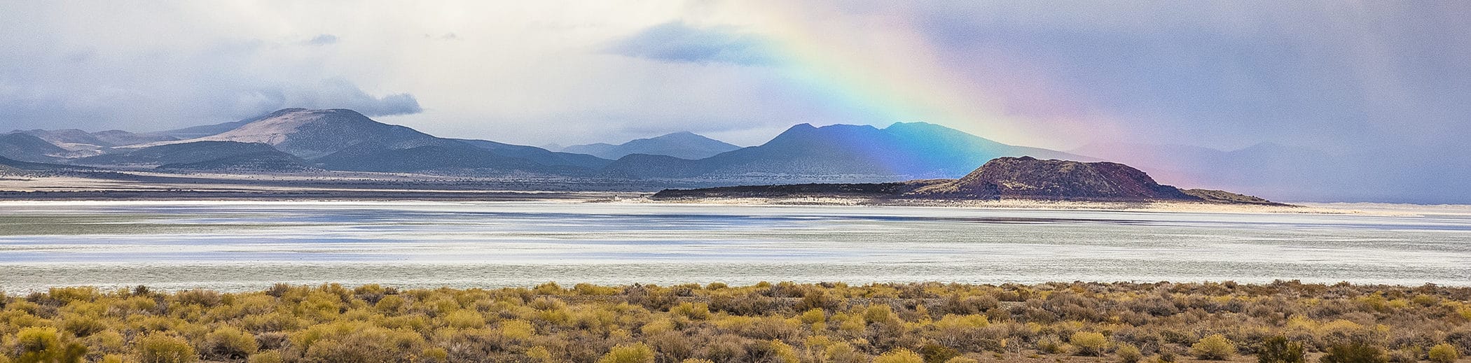 A bright rainbow ends at the black island of Negit in a silvery Mono Lake with storm clouds around and golden bushes in the foreground.