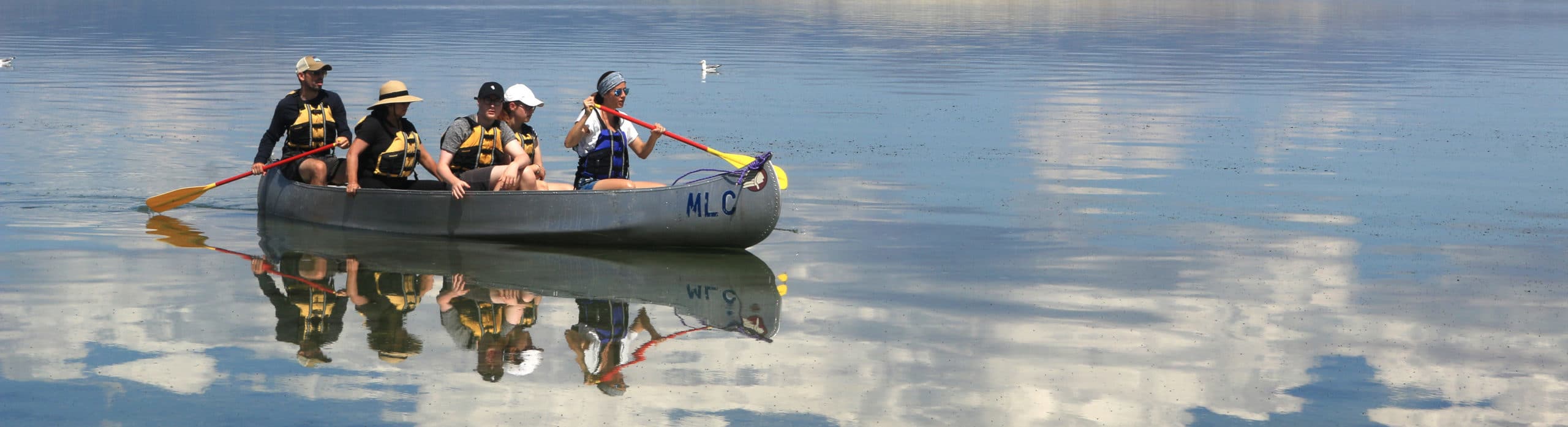 Five people ride in a metal canoe on a glassy Mono Lake with blue skies and beautiful puffy clouds and bright vibrant colors with a California Gull floating on the water in the background and a large white island, Paoha, in the distance.