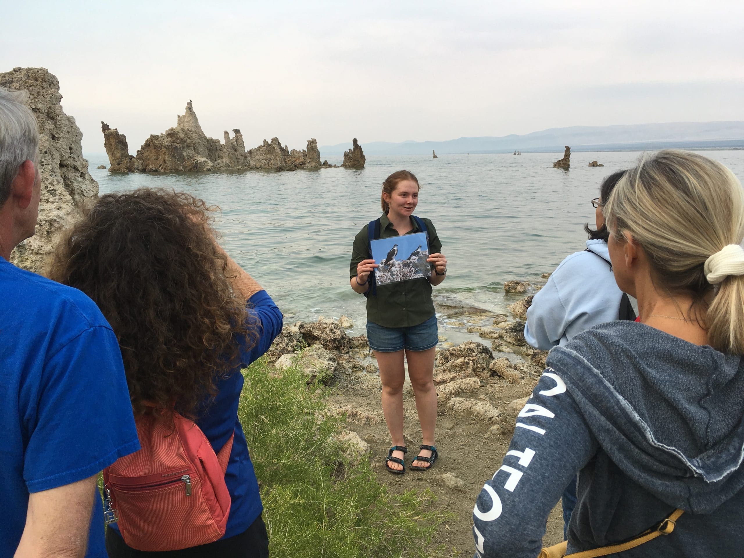 Four people gather around a guide holding a photograph of two large fish eating hawks, Osprey, as she stands on the shore of Mono Lake with the lake in the background and a large island of tufa towers sticking up out of the water in the distance.