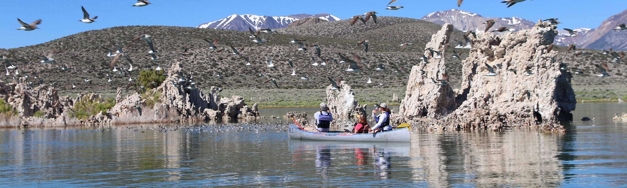 Three people are sitting in a metal canoe on Mono Lake in front of some tufa towers sticking up out of the water and the canoers are looking at a flock of shorebirds in front of them and also flying around them and into the foreground of the photo, with snow capped peaks in the background.