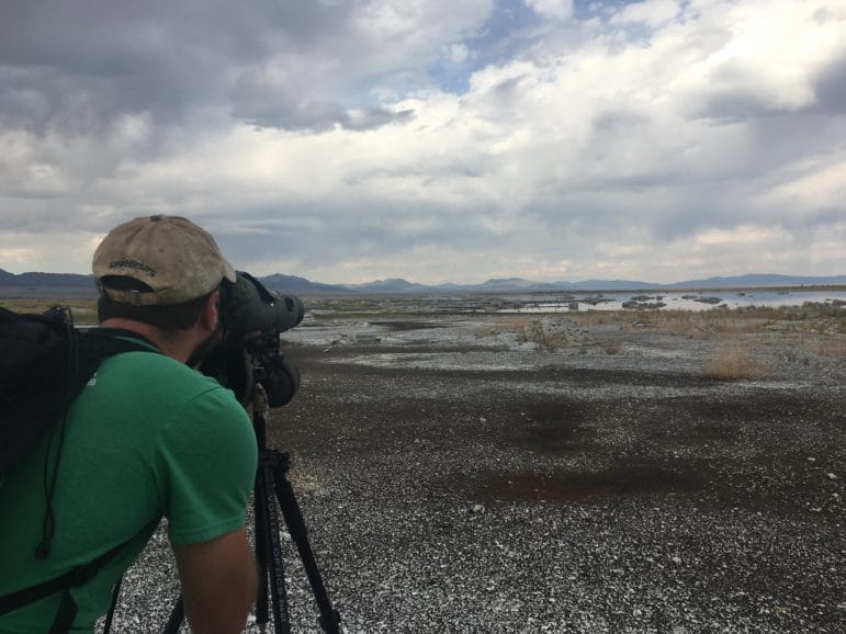 A person stands on a black and white rocky ground and looks into a spotting scope out towards a rocky shore of Mono Lake with desert hills and a dramatically cloudy sky in the distance.
