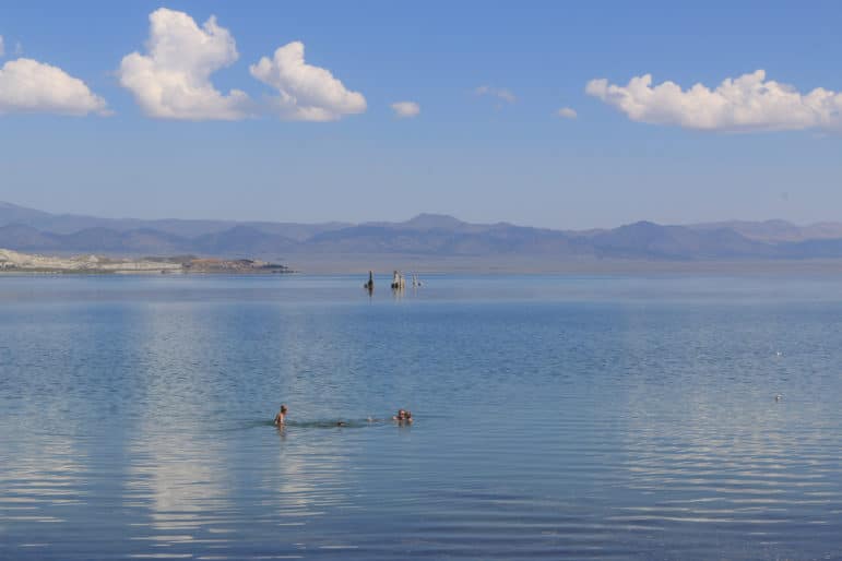 A big blue expanse of Mono Lake and equally blue sky with a few puffy white clouds as four people swim and float in Mono Lake with four tufa towers in the distance and a couple of California Gulls on the surface of the lake too.